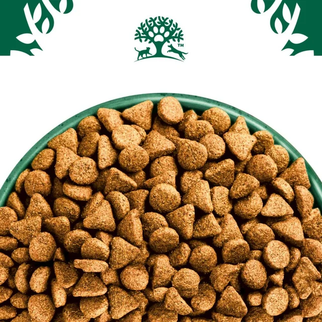 Superfoods Adult Hund Trocken reich an Truthahn mit einer Mischung aus Grünkohl & Quinoa