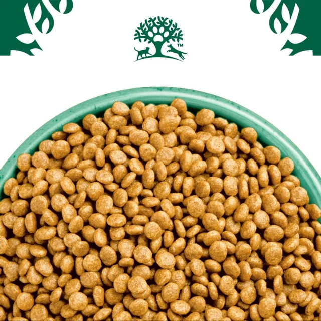 Adult Katze Trocken ohne Getreide reich an Truthahn