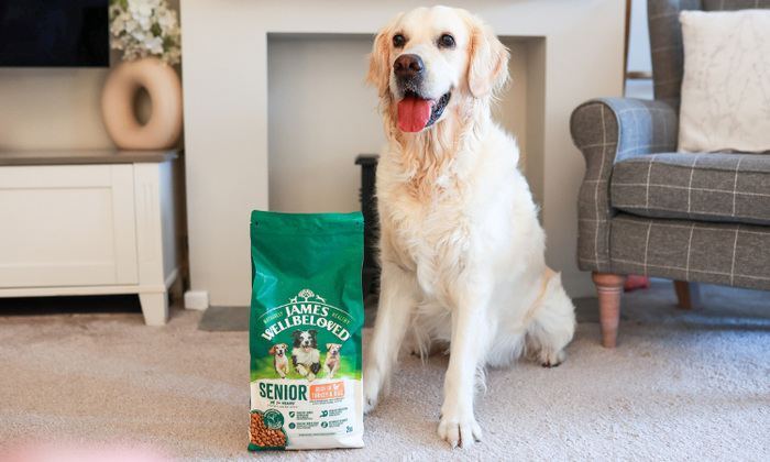 ÜBERGEWICHTIGE HUNDE