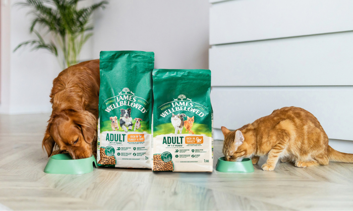 ENTDECKE UNSERE GUIDES UNTEN