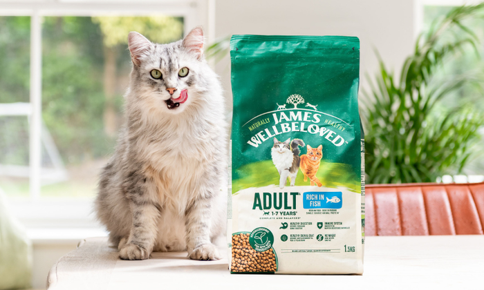 LECKERLIS FÜR DEINEN HUND